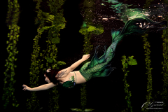 Memaid Shooting mit Chan Usagi aus Holland